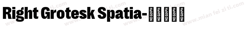 Right Grotesk Spatia字体转换